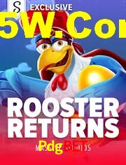 Football Betting Pdgbet